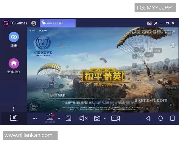 和平精英纪实：深度解析BLG战队的蜕变与成长历程