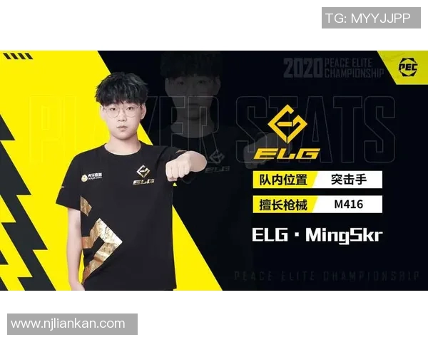 和平精英评论：WE战队在运营中的成功与不足分析